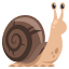 🐌