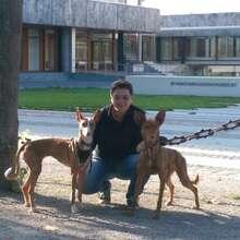 josi2007