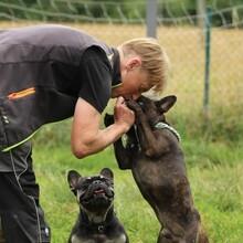 Schattenbully..