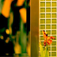serendipity-
