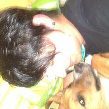 jasles
